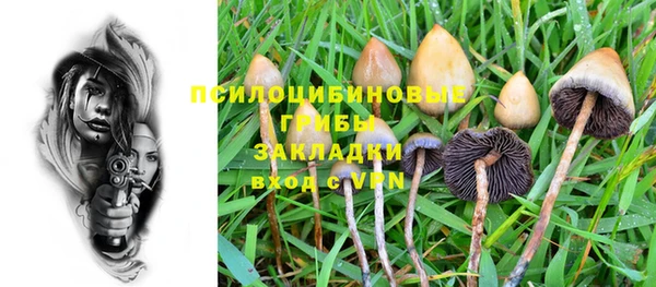 ALPHA PVP Володарск