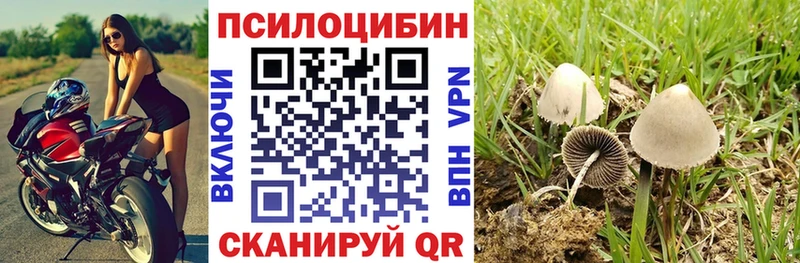 Псилоцибиновые грибы Cubensis  Курган 