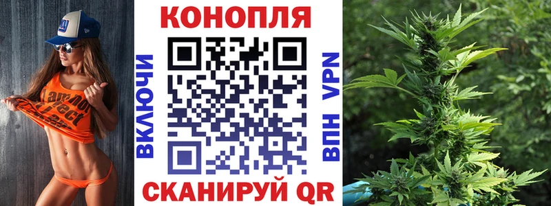 Канабис конопля  Курган 